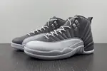 Air Jordan 12 STEALTH  CT8025-610
