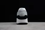 Nike Air Max 1 Wolf Grey AH8145-003