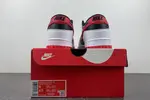 Nike Dunk Low  FD9762-061