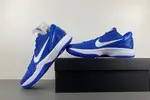 Nike Kobe 6 Protro “Dodgers” CW2190-400