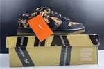 NIKE DUNK SB LOW PUSHEAD 2 536356-002