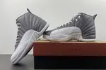 Air Jordan 12 STEALTH  CT8025-610