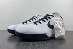 Nike Zoom Kobe 4 Protro "GIGI"  FJ9363-100