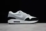 Nike Air Max 1 Wolf Grey AH8145-003