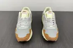 Nike Air Max 1 Patta DH1348-001