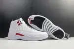 Air Jordan 12 CT8013-106