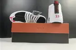 Air Jordan 12 CT8013-106