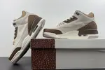 Air Jordan 3 “Palomino”  CT8532-102