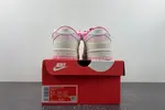 Nike Dunk DH9765-200