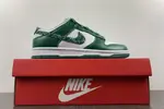 Nike Dunk Low SB DH4401-102