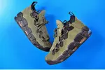 Nike Air More Money "US Dollar" Sequoia/Black mens  AJ7383-300