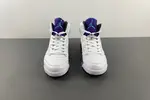 Air Jordan 5 Retro 'Grape' 2013 136027-108