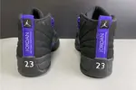 Air Jordan 12 “Dark Concord” CT8013-005