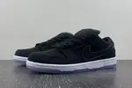 Nike Dunk Low FN 4193-013