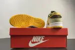 Nike Dunk Low SE DH5360