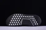 Adidas NMD R1 PRICEKNIT Pitch Black Basf Boost MENS  S80489