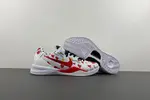 Nike Kobe 8 Protro “ FJ9364-201