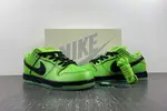 The Powerpuff Girls x Nike SB Dunk Low FZ8319-300