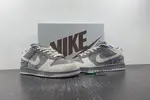 Nike SB Dunk Low TRUCK LTPACK 308269