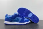 Nike SB Dunk Low Pro  DM0807-400