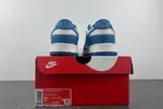 NIKE Dunk Low Retro SE  DV0834 101