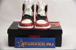 AIR JORDAN 1 The North Pole Chicago  CK5566-610