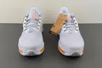 Pegasus Premium  Nike  ZoomX HQ2592 002