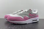 Nike Air Max 1 “Fuchsia Dream”  DZ2628-001