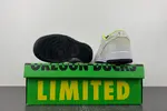 Dunk Low Oregon PE “Ducks of a Feather”  FQ7260-001