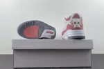 Air Jordan3  CK9246 981