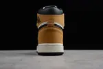 Air Jordan 1 Retro High OG ROY 555088-700