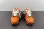 Concepts x Nike SB Dunk Low FD8776-800