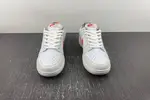 Nike Dunk Low GS FN8913-141