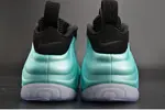 Nike Air Foamposite Pro 624041-303