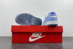 NIKE DUNK LOW  FN0323-400