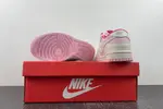 Nike Dunk DH9765-200