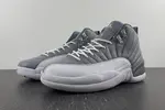 Air Jordan 12 STEALTH  CT8013-015