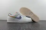 Nike Dunk Low GS FN8913-141