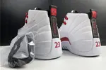 Air Jordan 12 CT8013-106