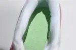 Nike Air Max Anniversary Watermelon  AH8145-106