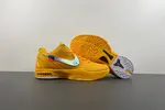 Nike Kobe 6 Protro “ CW2190-501