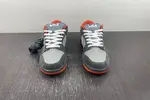 Nike SB Dunk Low  304292-011