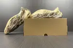 adidas Yeezy Foam Runner “MX Cream Clay” GX8774