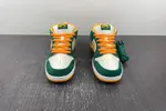 Nike SB Dunk Low Pro 304292-383