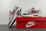 Air Max 1 Premium SE HF7746-100