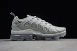 Nike Air VaporMax Plus Cool Grey 924453-005