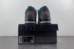 Air Jordan 3 “Fear”  CT8532-080