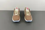 Nike Kobe 6 Protro “Chaos” CW2190- 501
