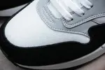 Nike Air Max 1 Wolf Grey AH8145-003