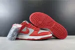 Nike Dunk Low SB CU1726-600